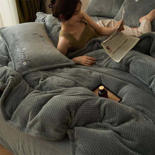 可拆双面绒春冬被被套羽洗丝绒芯被WY901001子加厚保暖秋被棉被褥