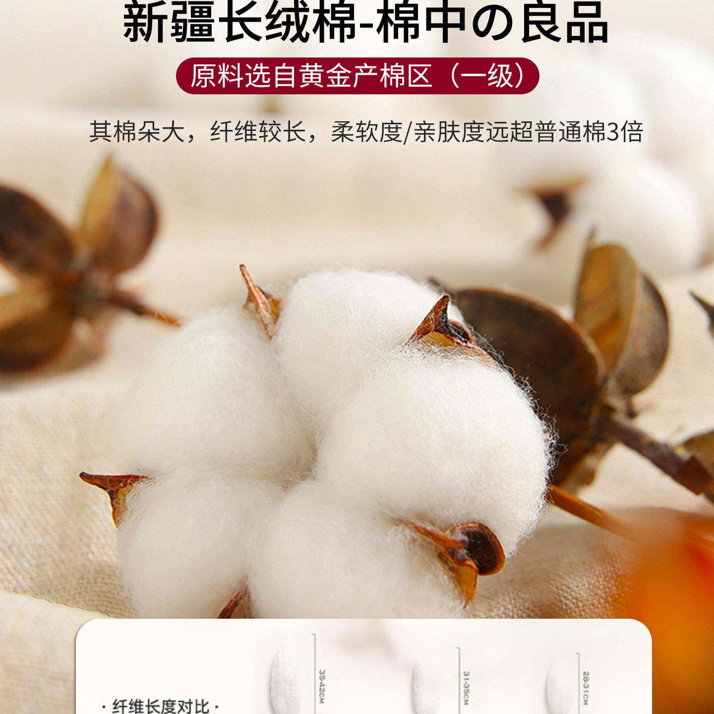 棉花床垫软垫米用卧室家榻被榻床垫子加厚冬天床褥垫XT褥子