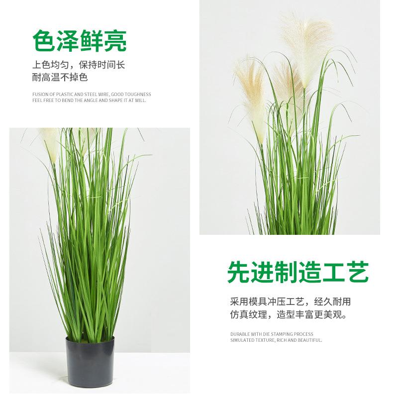 包邮三头花真仿芦假蒲苇仿真洋葱草叶仿SYXF生绿苇植植物花卉盆栽