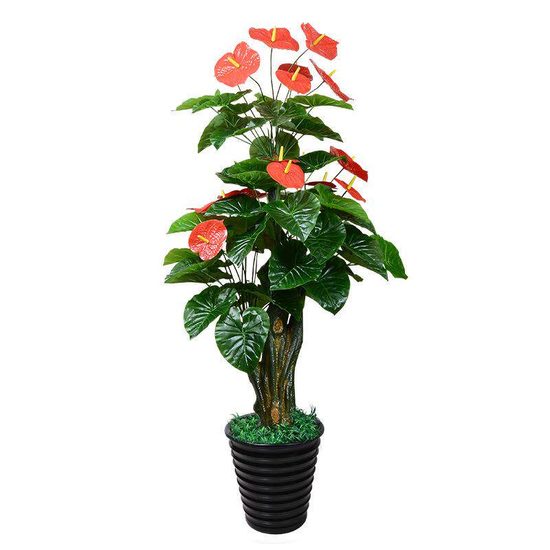 假花火鹤红掌真花落饰地套装塑料花大型植物仿装花栽客厅摆老树根
