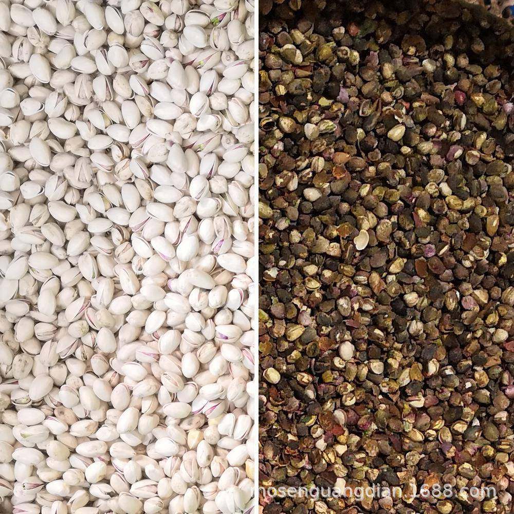 核桃色选去机小型夏威夷能果子精选设备去壳坏松多功形选6SXZ-68L,机械设备,筛选机,淘宝优惠券,粉丝福利购,淘宝优惠卷