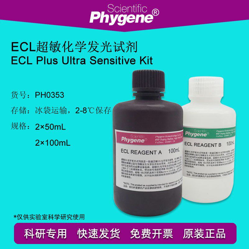 ECL超敏化学发光试剂盒 ECL发光液显色剂 100mL [PH0353 PHYGENE]