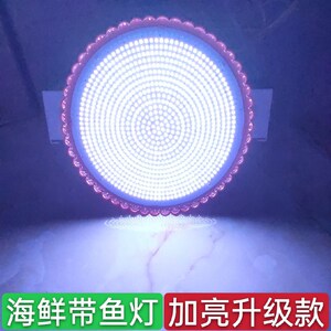 2021LED生鲜海鲜灯白光150瓦偏蓝带鱼海鲜市场冻货加亮款E27螺口