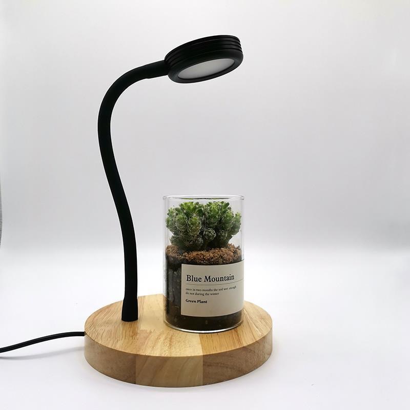usb室内书桌台面植物生长灯宿舍微景观水草苔藓生态缸补光灯台灯
