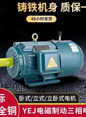 江苏远中电机YEJ100L-YE电J6极0.5-72.2kw电制磁动动机1.5kw2.2kw