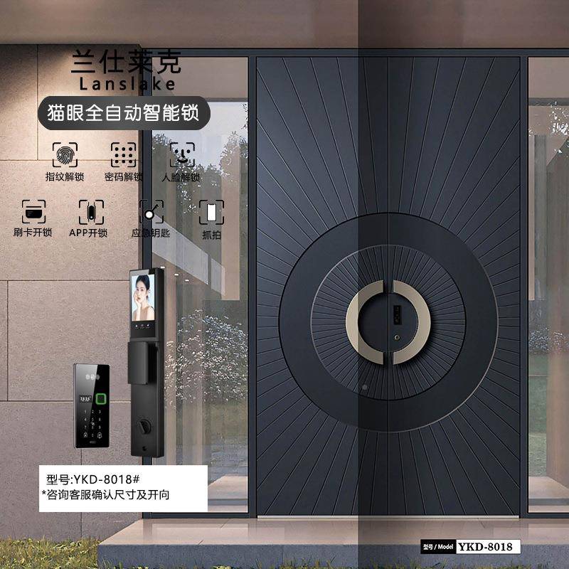 铝合金别563大墅门双开门村乡村农对开门自建门房子进户入户新中
