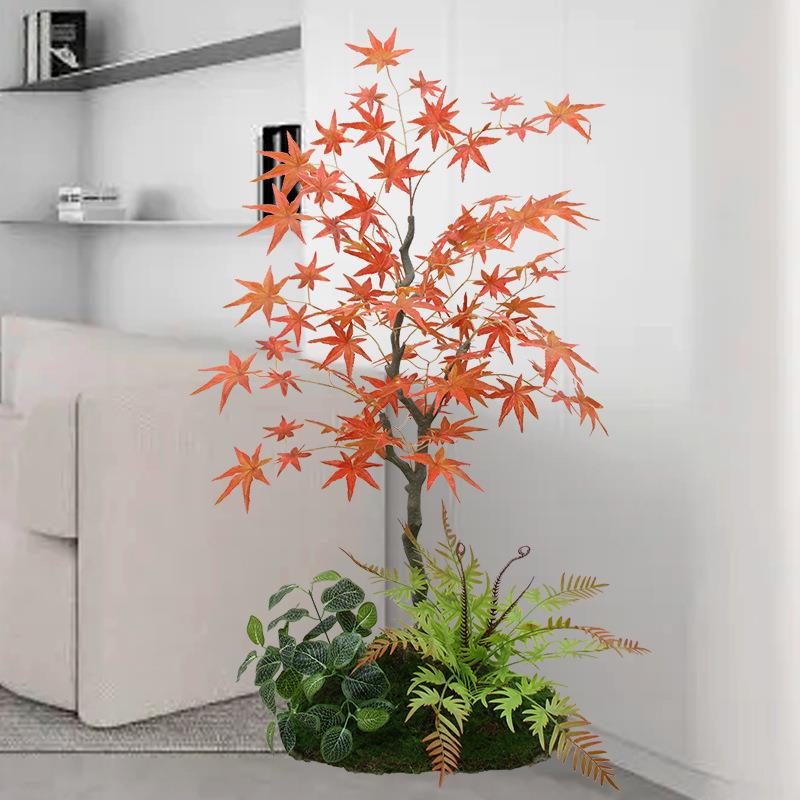 红枫树内落地花组室合造大型绿植植客厅庭院F77M9J8J假景物装饰青