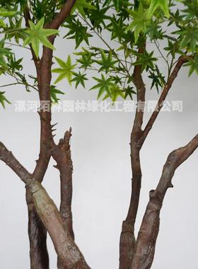 仿真枫树大型物盆绿枫饰树装塑料假花仿植生绿植FZFS-001摆件假树