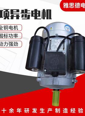 单项异步电机L80122极7GER5单0W2200V相电动机Y288转铜芯现货马达