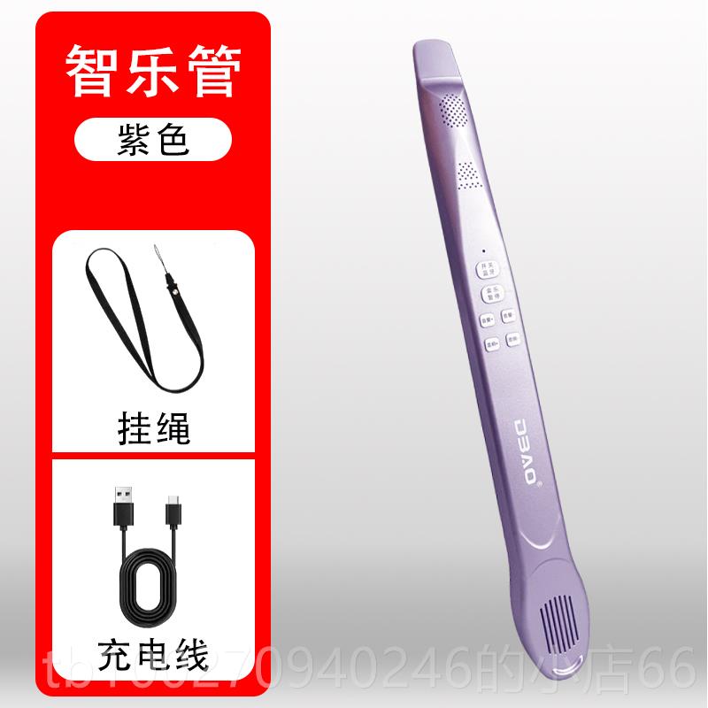 高档新品新乐器型智乐管笛子不用就会吹管学电子电音管