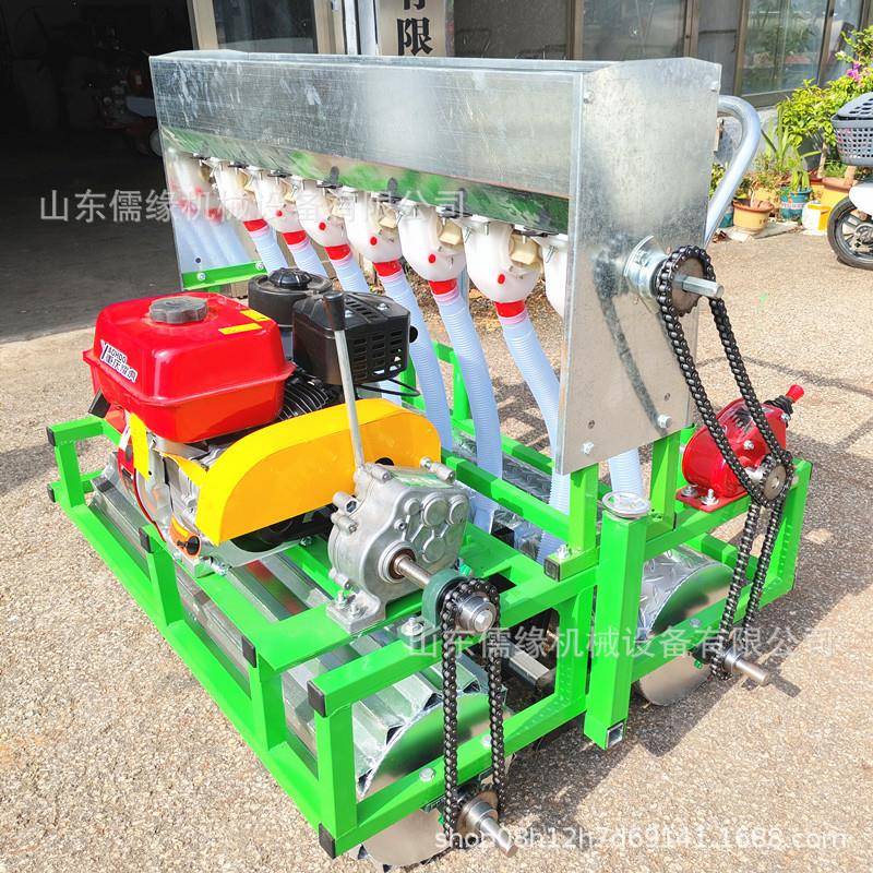 型QWS柴胡白点芷播机170汽蔬菜播种机大葱育油苗机