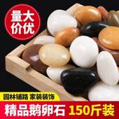 1雨50斤抛鹅卵石花石原117石天然石头盆园艺铺地造景光阳栽台石头