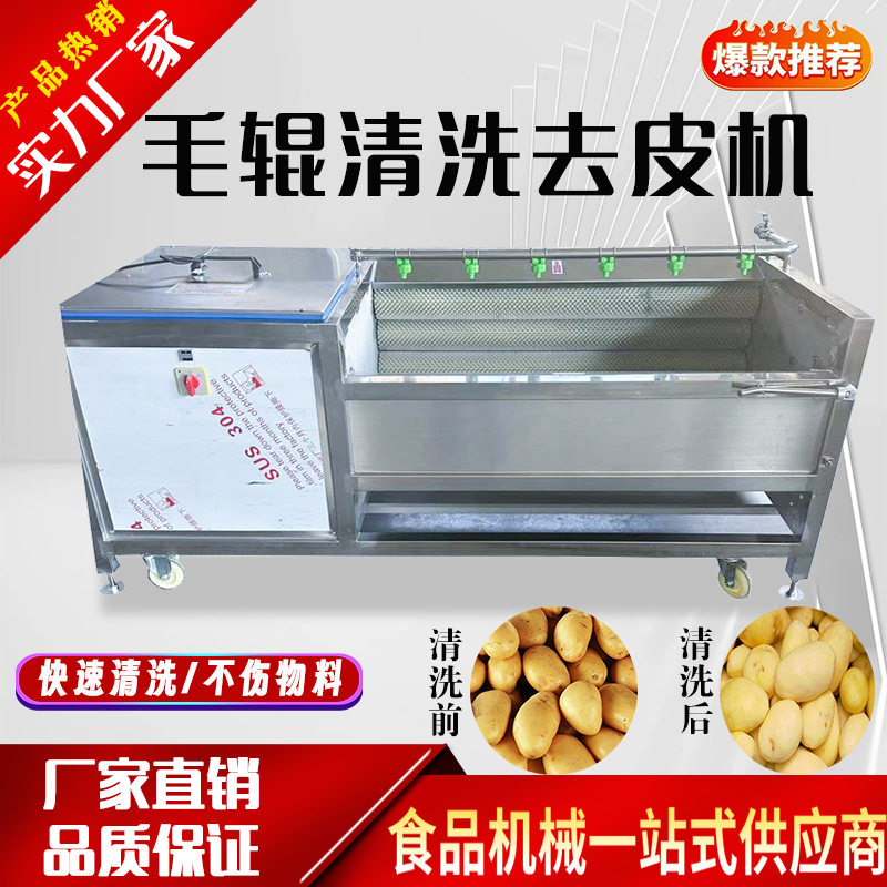 大型毛辊清洗机手剥鲜笋姜