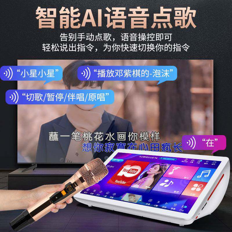 家庭影院VI8ST音响套装家K用点机歌一体机音箱全套