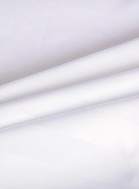 宾馆酒店用罩白色枕内套一对装48专x74cm枕芯胆枕头套民20241216