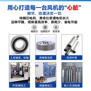 三叶罗茨鼓风机污罗茨茨鼓风机水处曝理罗风机气WMD力输送高压气