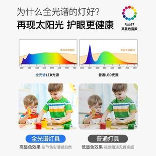水晶客厅吸灯现顶代简大气全光谱轻奢圆顶形吸灯主约704卧室房间