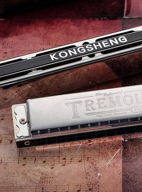 孔孔声C成调2演4复音口琴人儿童学生初学者专业HSR奏课堂口琴