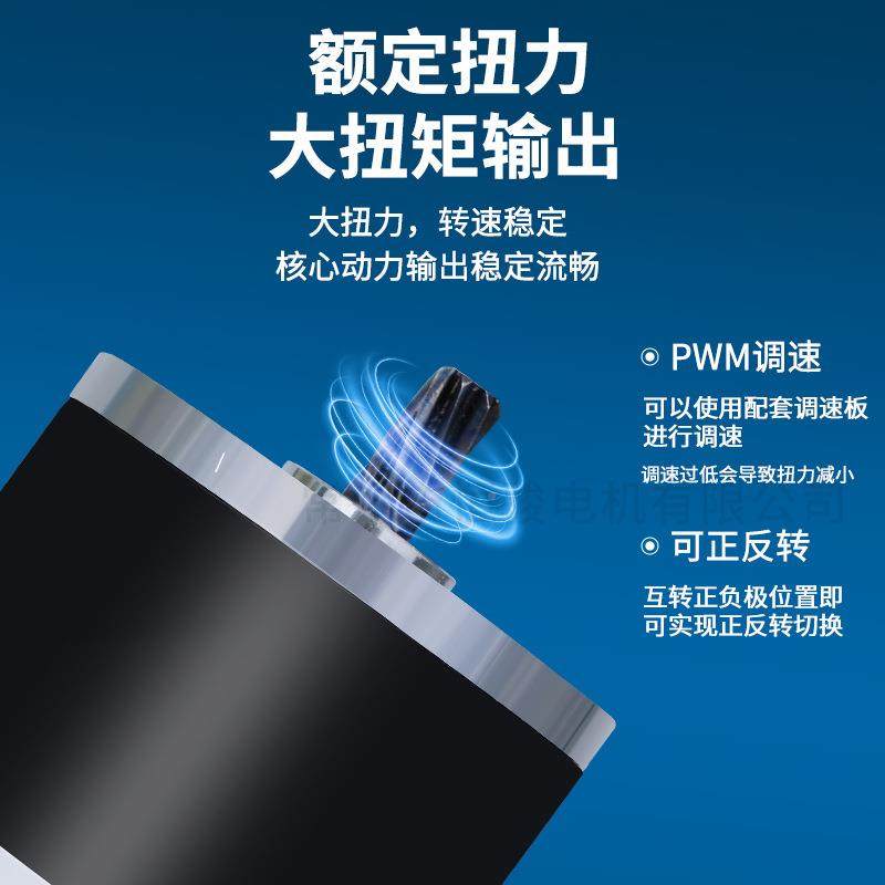 645有刷电机电动机流永磁电机76ZYT001DL磁直流永减速电直机