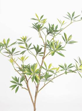 新Y8536-7-盆款仿真植物水石榕落地树盆栽财发树绿植客厅装饰摆件