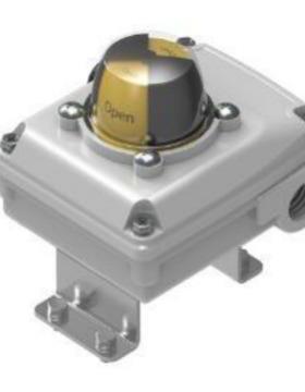 德国FESO限位开关RBF-GRAY-YTQNR90SMW2TAC2M20232403231费