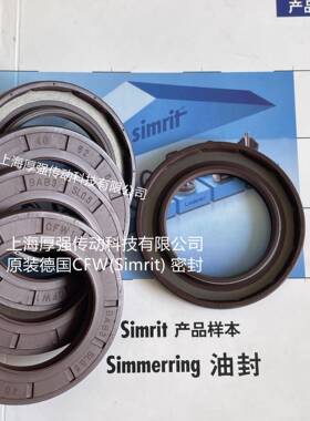 德国S-imrit/FRERUDNPEENBEG高温高压油封CZFW1BABC3SL0.540-626