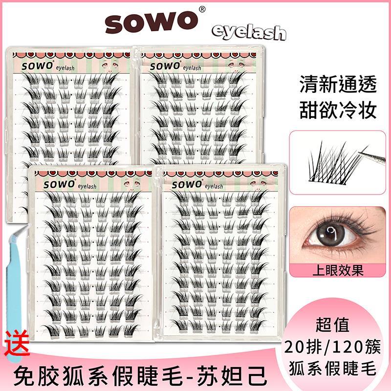正品【20排送夹子免胶免卸假睫毛书大容量自然卷翘太阳花三部曲睫