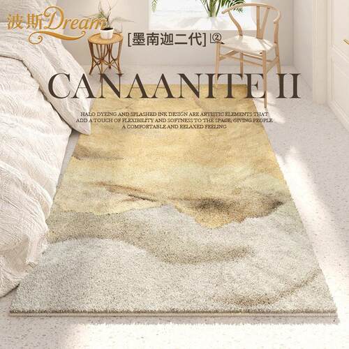 波斯Dream轻奢卧室床边地毯客厅高级床前床头脚垫加厚沙发茶几垫
