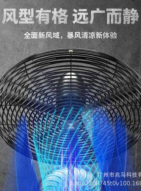 业钻石牌工电扇25689大功率电机用落风地扇强力除甲醛工厂摇头牛