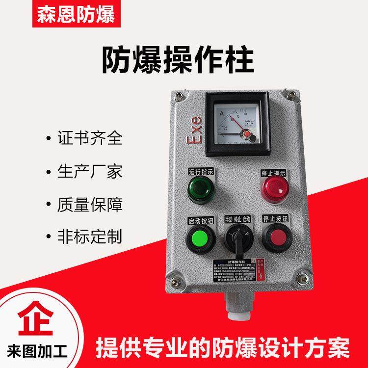 防爆操作控制箱防腐按钮箱两灯两钮一表防水防尘立式挂式IIB