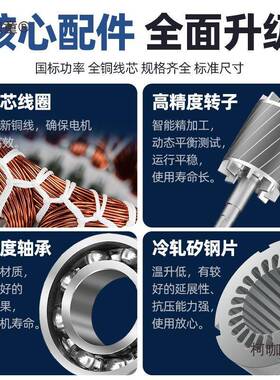 国标单相电3动机220V大功率1相.5DTP/.1.8/.0/55电机小型两电麦太