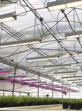 日耀植物补光灯户外防水大棚植物灯全太谱光ED植物生长灯LGDT仿阳