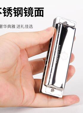 直批10孔布MAC鲁口琴人成儿童练习琴口入门演奏斯C调口琴初学者