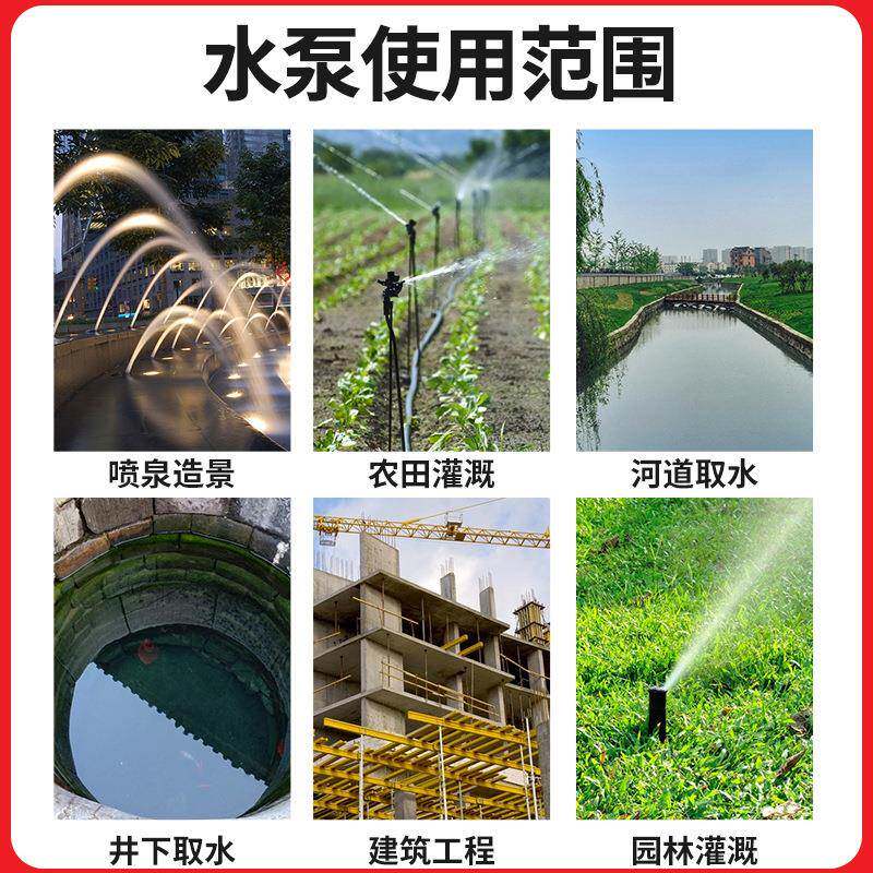 VXD浪奇水泵家用水高扬程小型农用井灌溉水泵高程清水泵直扬潜销