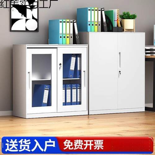 公办室铁NKU皮柜带锁档案资料文柜件柜物柜加厚钢制收纳矮柜推拉