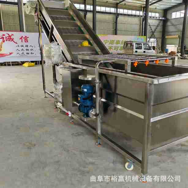 大型海鲜气泡清洗机 全自动速冻蔬菜水果清洗机 鼓浪式果蔬清洗机