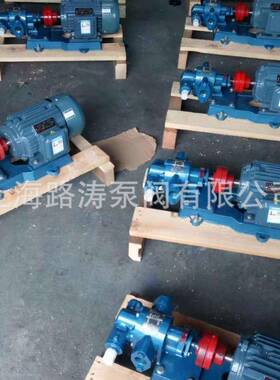 路涛KCB-633轮齿式输油泵2CY-38/019泵.28齿K轮油CB系列齿轮泵