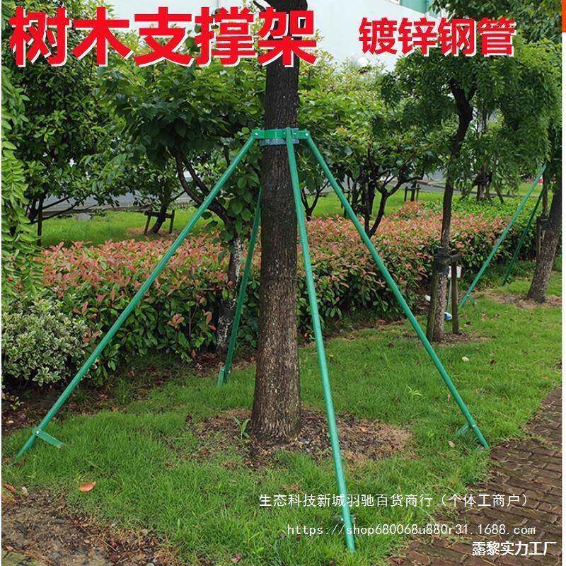树木支撑固器抱箍防绿风杆化镀锌钢管支撑无品牌/架苗木支定定架