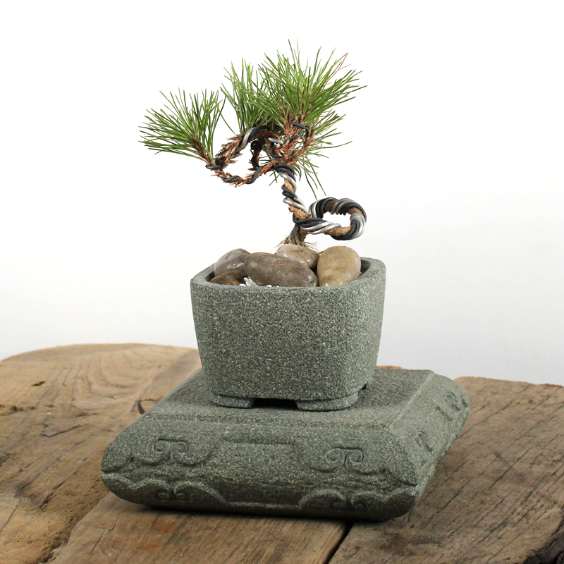 青石花盆天然石盆栽桌面菖蒲盆景石材小号植物水培简约小石盆复古