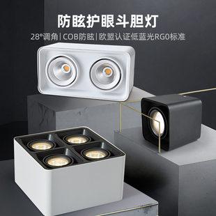 意大利EFE 明装筒灯斗胆灯四头双头防眩客厅无主灯天花板灯单头过