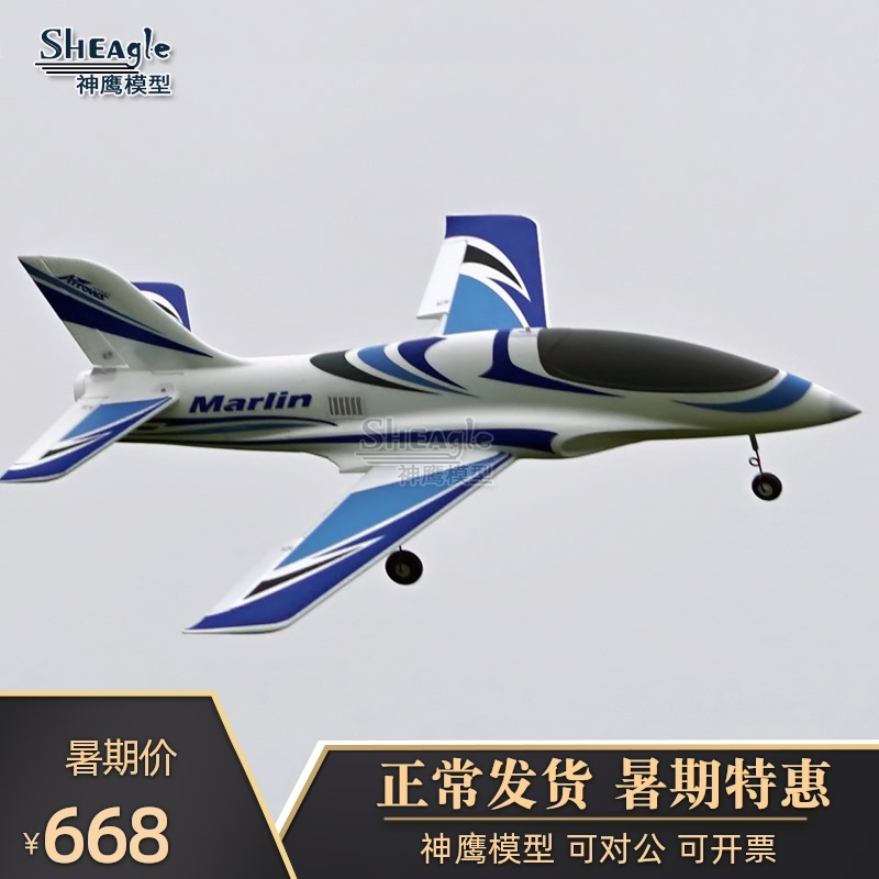 神鹰模型 蓝精灵 64mm涵道战斗机 运动机 新款电动固定翼遥控飞机
