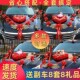 布置婚车装 饰结婚车队套装 饰品全套 饰车头花婚车花花车装 主婚车装