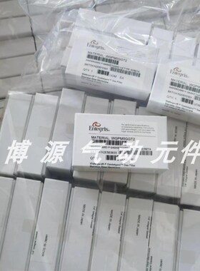 议价ENTEGRIS应特格 14 垫片式过滤器 WGPM0GGT2 WGPM0GGT4