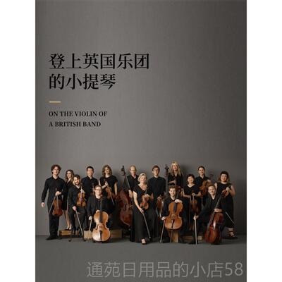 正品Diseo德塞鲁1760专业演奏r级小提琴欧料纯工乐团演出手演艺表