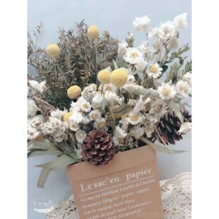 正品进腊口丹斯野菊梅松客果花千层叶复古牛皮纸袋抱抱花厅餐厅干