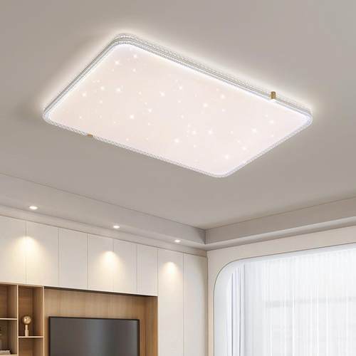 2025新款流行大灯具le42504d吸顶灯全简谱护眼客光厅现代约大气主