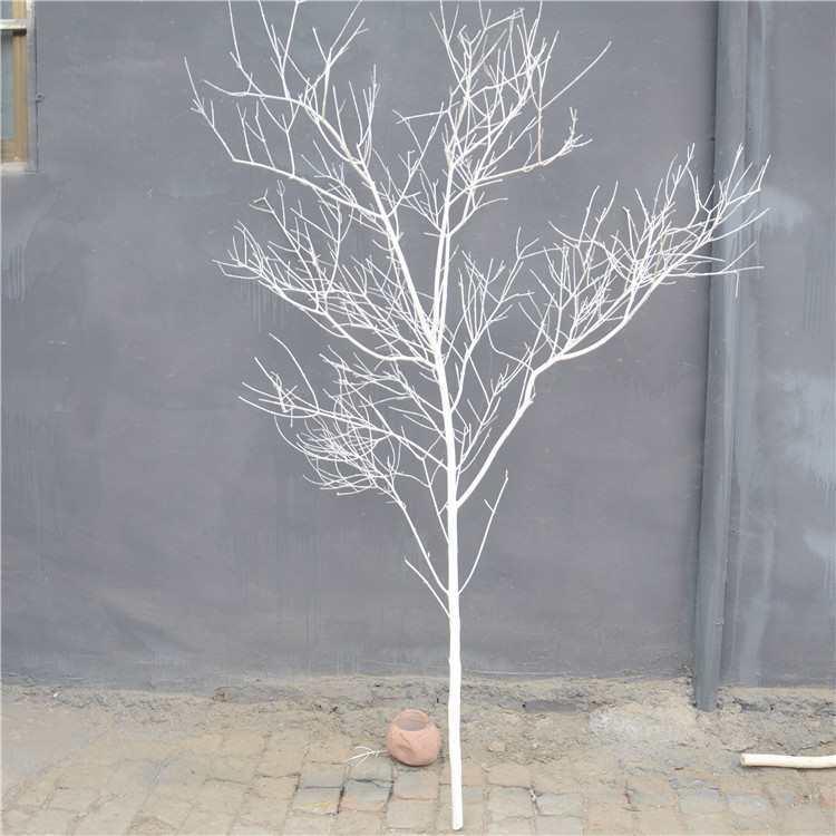 干树枝干枝树枯树树装饰白色杆F875699M摆件树树枝假树枝干道具装