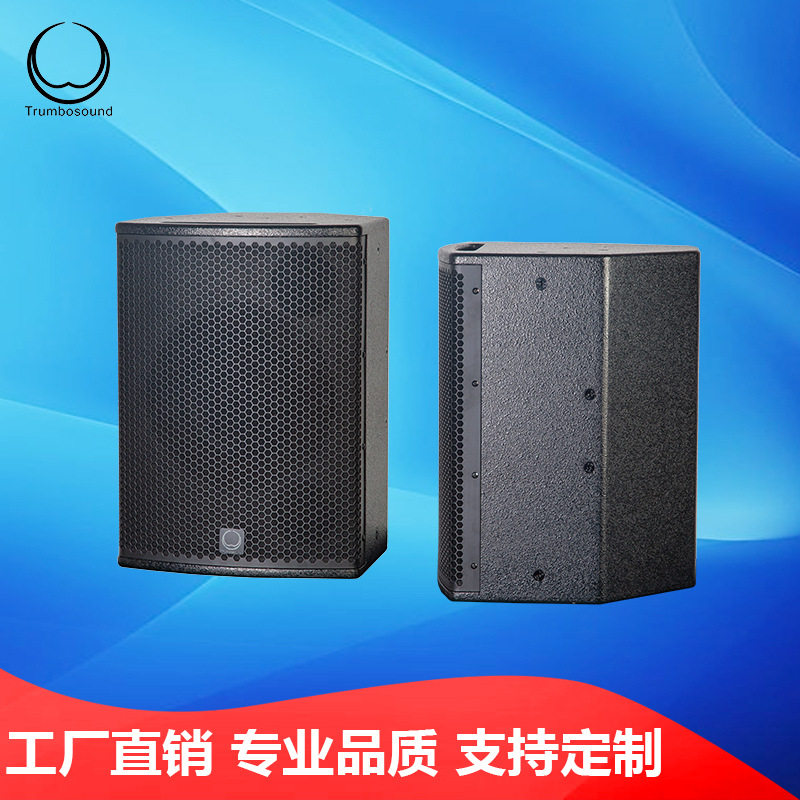 舞台10寸同轴K音箱酒吧返听