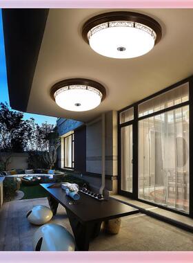 W9X中式吸顶户外709玻璃大门阳光房走廊Y卧室门口庭院感应室新外