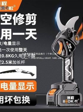 博无品牌/程功动修枝无刷无线果剪树剪多功能大率充电式园林粗枝